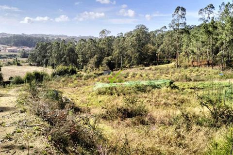 Helårsgrund i Barcelos, Braga, Barcelos - € 110.000 | Ref: 2052 - foto 5