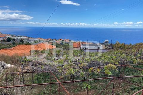 Helårsgrund i Calheta, Madeira, Calheta - € 250.000 | Ref: DEED/925 - foto 6