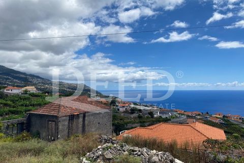 Helårsgrund i Calheta, Madeira, Calheta - € 250.000 | Ref: DEED/925 - foto 11