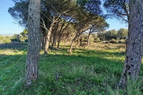 Helårsgrund i Sintra, Lisbon, Sintra - € 450.000 | Ref: ptm4386 - foto 3