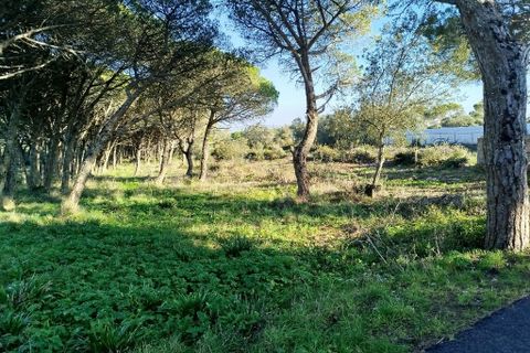 Helårsgrund i Sintra, Lisbon, Sintra - € 450.000 | Ref: ptm4386 - foto 4