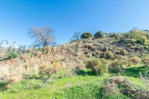 Terreno en Torrox, Malaga, Torrox - € 87.000 | Ref: TP139 - photo 2