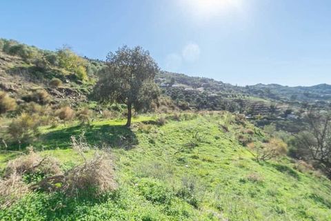 Terreno en Torrox, Malaga, Torrox - € 87.000 | Ref: TP139 - photo 3