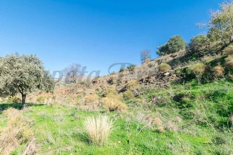 Terreno en Torrox, Malaga, Torrox - € 87.000 | Ref: TP139 - photo 6