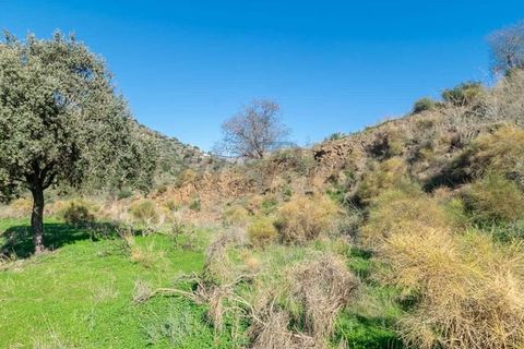 Terreno en Torrox, Malaga, Torrox - € 87.000 | Ref: TP139 - photo 7