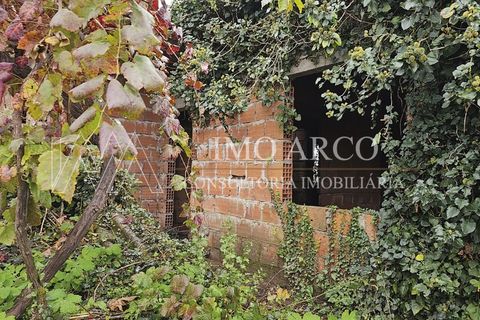 Villa i Cabeceiras de Basto, Braga, Cabeceiras de Basto - € 30.000 | Ref: ARCO(236) - foto 9