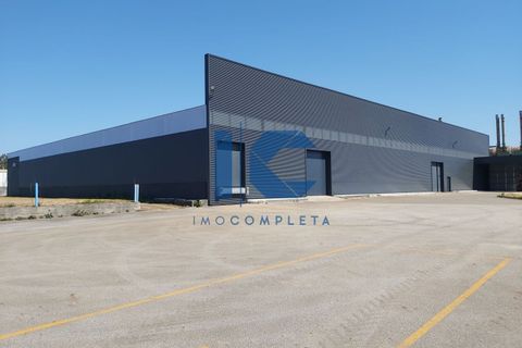 L'establiment comercial a Agueda, Aveiro, Agueda - € 12.000/mes | Ref: 20241100910 - foto 2