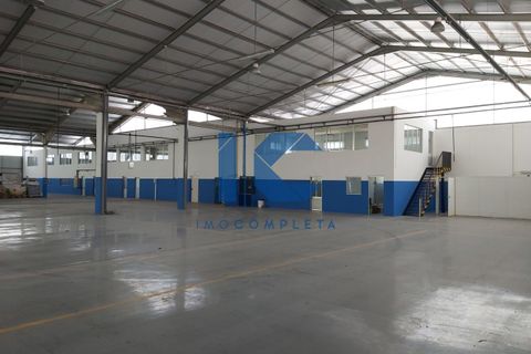 L'establiment comercial a Agueda, Aveiro, Agueda - € 12.000/mes | Ref: 20241100910 - foto 9