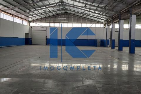 L'establiment comercial a Agueda, Aveiro, Agueda - € 12.000/mes | Ref: 20241100910 - foto 11