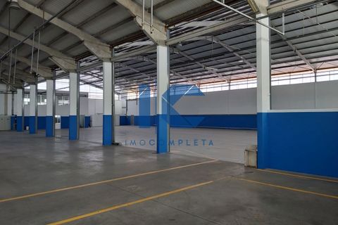 L'establiment comercial a Agueda, Aveiro, Agueda - € 12.000/mes | Ref: 20241100910 - foto 12