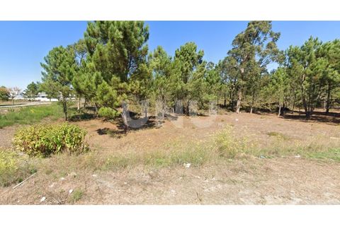 Helårsgrund i Ovar, Aveiro, Ovar - € 275.000 | Ref: UNU.I.1150.20562 - foto 1