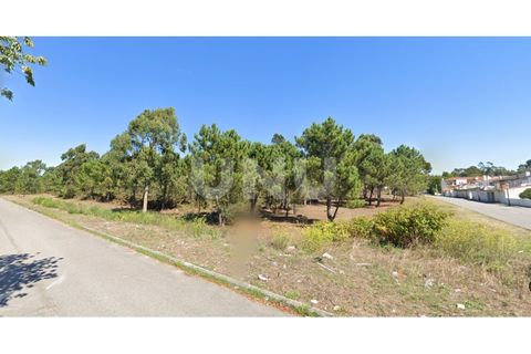 Helårsgrund i Ovar, Aveiro, Ovar - € 275.000 | Ref: UNU.I.1150.20562 - foto 3