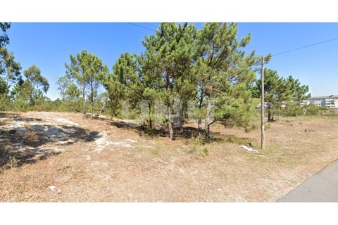 Helårsgrund i Ovar, Aveiro, Ovar - € 275.000 | Ref: UNU.I.1150.20562 - foto 4