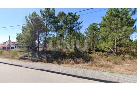 Helårsgrund i Ovar, Aveiro, Ovar - € 275.000 | Ref: UNU.I.1150.20562 - foto 5