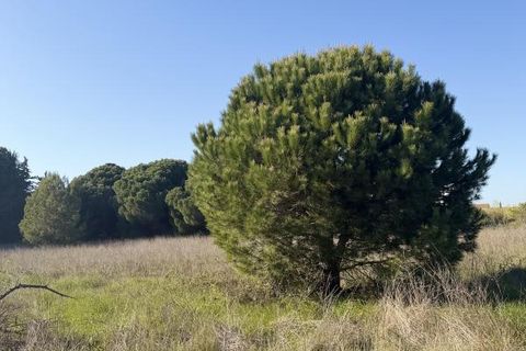 Helårsgrund i Agde, Herault, Agde - € 232.000 | Ref: 34B-LAPINEDE - foto 1