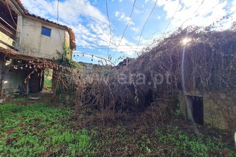 Villa a Fafe, Braga, Fafe - € 165.000 | Ref: 237240056 - foto 8