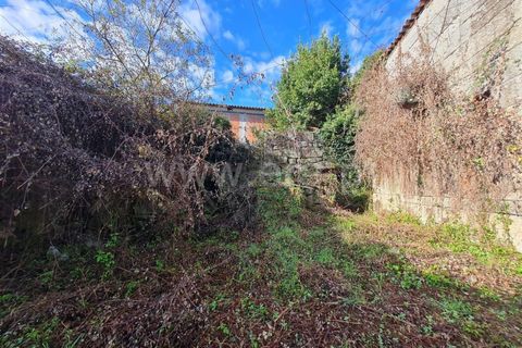 Villa a Fafe, Braga, Fafe - € 165.000 | Ref: 237240056 - foto 9