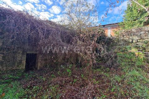 Villa a Fafe, Braga, Fafe - € 165.000 | Ref: 237240056 - foto 10