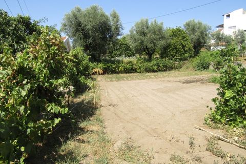 Helårsgrund i Sardoal, Santarem, Sardoal - € 23.000 | Ref: P24-212 - foto 1