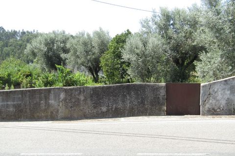 Helårsgrund i Sardoal, Santarem, Sardoal - € 23.000 | Ref: P24-212 - foto 3