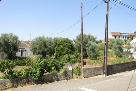 Helårsgrund i Sardoal, Santarem, Sardoal - € 23.000 | Ref: P24-212 - foto 4