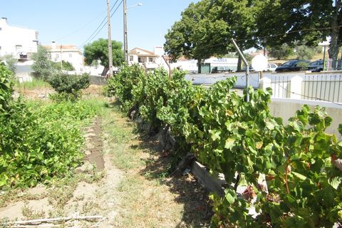 Helårsgrund i Sardoal, Santarem, Sardoal - € 23.000 | Ref: P24-212 - foto 5