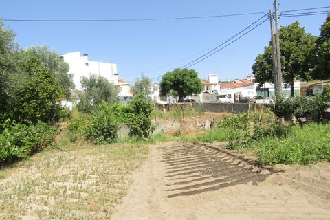 Helårsgrund i Sardoal, Santarem, Sardoal - € 23.000 | Ref: P24-212 - foto 9