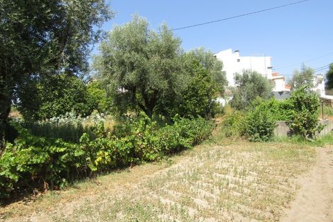 Helårsgrund i Sardoal, Santarem, Sardoal - € 23.000 | Ref: P24-212 - foto 10