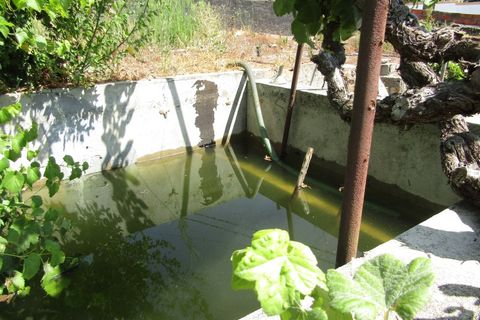 Helårsgrund i Sardoal, Santarem, Sardoal - € 23.000 | Ref: P24-212 - foto 11