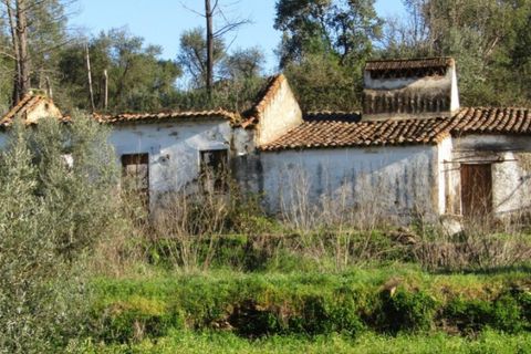 Ruinere i Mouriscas, Santarem, Mouriscas - € 29.000 | Ref: P22-108 - foto 3