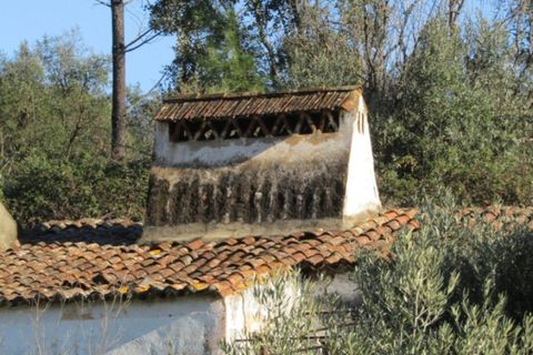Ruinere i Mouriscas, Santarem, Mouriscas - € 29.000 | Ref: P22-108 - foto 5