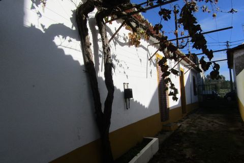 Bungalow i Mouriscas, Santarem, Mouriscas - € 94.000 | Ref: P24-178 - foto 2