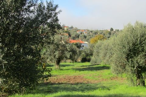 Bungalow i Mouriscas, Santarem, Mouriscas - € 94.000 | Ref: P24-178 - foto 6