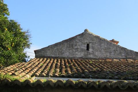 Bungalow i Mouriscas, Santarem, Mouriscas - € 94.000 | Ref: P24-178 - foto 4
