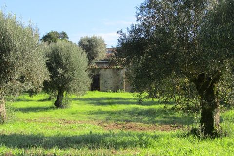 Bungalow i Mouriscas, Santarem, Mouriscas - € 94.000 | Ref: P24-178 - foto 7