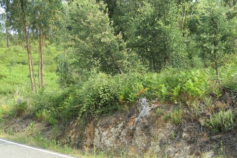 Terra a Sardoal, Santarem, Sardoal - € 70.000 | Ref: P22-166 - foto 5