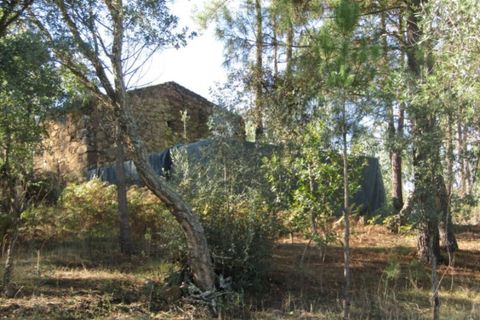 Helårsgrund i Mouriscas, Santarem, Mouriscas - € 29.900 | Ref: P22-133 - foto 1