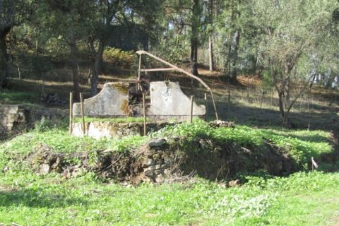 Helårsgrund i Mouriscas, Santarem, Mouriscas - € 29.900 | Ref: P22-133 - foto 2