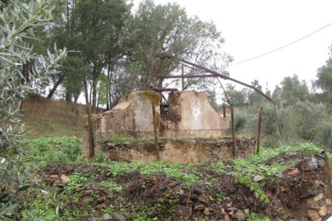 Helårsgrund i Mouriscas, Santarem, Mouriscas - € 29.900 | Ref: P22-133 - foto 3