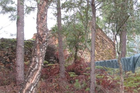 Helårsgrund i Mouriscas, Santarem, Mouriscas - € 29.900 | Ref: P22-133 - foto 4