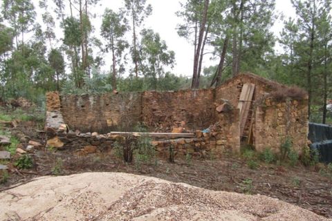Helårsgrund i Mouriscas, Santarem, Mouriscas - € 29.900 | Ref: P22-133 - foto 5
