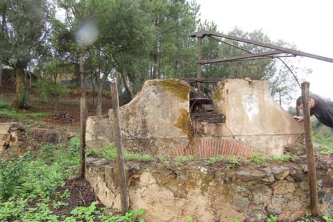 Helårsgrund i Mouriscas, Santarem, Mouriscas - € 29.900 | Ref: P22-133 - foto 8