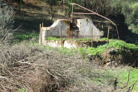 Helårsgrund i Mouriscas, Santarem, Mouriscas - € 29.900 | Ref: P22-133 - foto 11