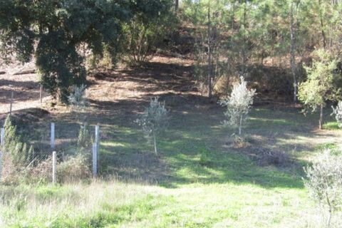 Helårsgrund i Mouriscas, Santarem, Mouriscas - € 29.900 | Ref: P22-133 - foto 12