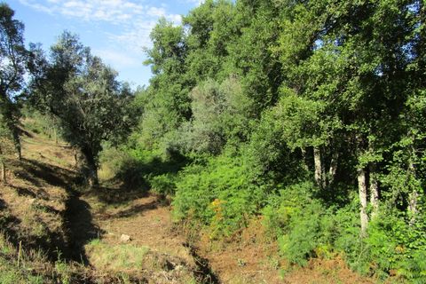 Helårsgrund i Sardoal, Santarem, Sardoal - € 39.900 | Ref: P22-168 - foto 5