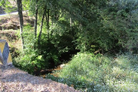 Helårsgrund i Sardoal, Santarem, Sardoal - € 39.900 | Ref: P22-168 - foto 6
