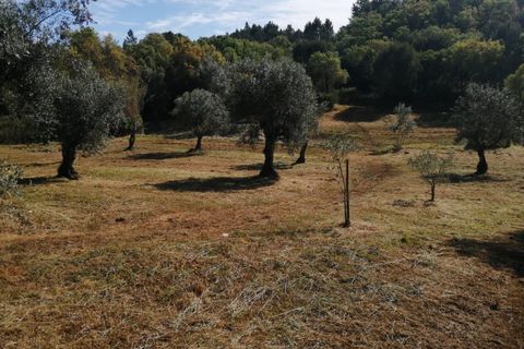 Helårsgrund i Sardoal, Santarem, Sardoal - € 16.000 | Ref: P24-198 - foto 1