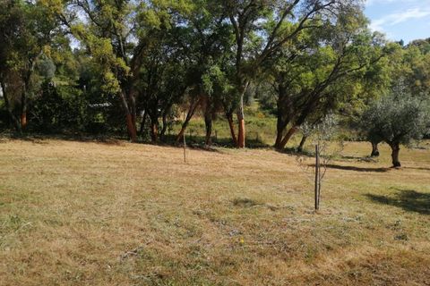 Helårsgrund i Sardoal, Santarem, Sardoal - € 16.000 | Ref: P24-198 - foto 3