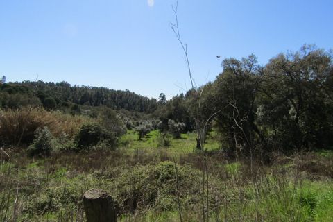 Helårsgrund i Sardoal, Santarem, Sardoal - € 16.000 | Ref: P24-198 - foto 4