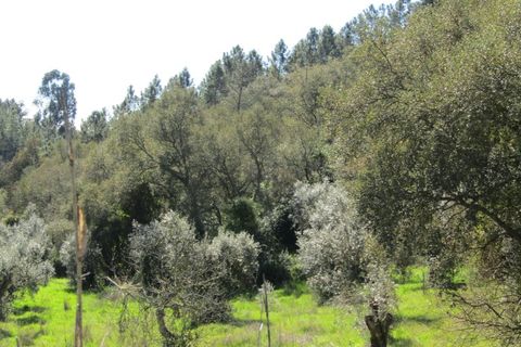 Helårsgrund i Sardoal, Santarem, Sardoal - € 16.000 | Ref: P24-198 - foto 5